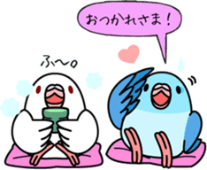 Pacific Parrotlet "Mameruliha" sticker #12062074