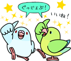 Pacific Parrotlet "Mameruliha" sticker #12062076