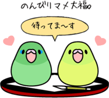 Pacific Parrotlet "Mameruliha" sticker #12062078