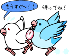 Pacific Parrotlet "Mameruliha" sticker #12062080