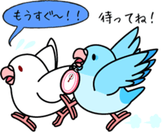 Pacific Parrotlet "Mameruliha" sticker #12062080