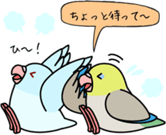Pacific Parrotlet "Mameruliha" sticker #12062081