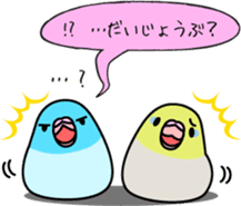 Pacific Parrotlet "Mameruliha" sticker #12062082