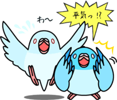 Pacific Parrotlet "Mameruliha" sticker #12062083