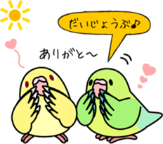 Pacific Parrotlet "Mameruliha" sticker #12062088