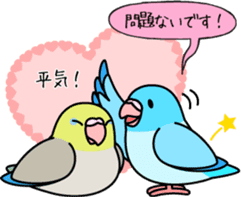 Pacific Parrotlet "Mameruliha" sticker #12062089