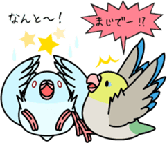 Pacific Parrotlet "Mameruliha" sticker #12062090