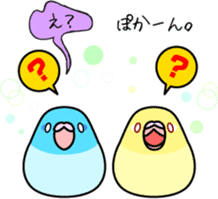 Pacific Parrotlet "Mameruliha" sticker #12062093