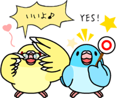 Pacific Parrotlet "Mameruliha" sticker #12062094