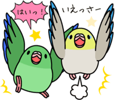 Pacific Parrotlet "Mameruliha" sticker #12062095
