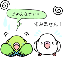 Pacific Parrotlet "Mameruliha" sticker #12062097