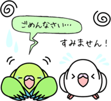 Pacific Parrotlet "Mameruliha" sticker #12062097