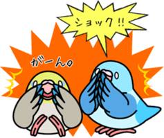 Pacific Parrotlet "Mameruliha" sticker #12062098
