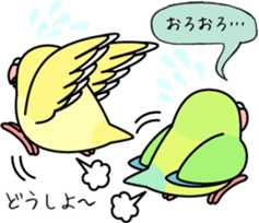 Pacific Parrotlet "Mameruliha" sticker #12062099