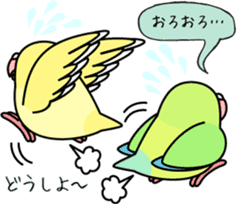 Pacific Parrotlet "Mameruliha" sticker #12062099