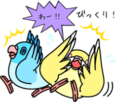 Pacific Parrotlet "Mameruliha" sticker #12062106