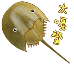 Big Ocean Party sticker #12062360