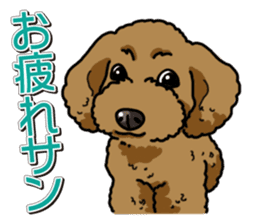 Wanko-Biyori Toy poodle sticker #12062552