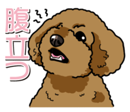 Wanko-Biyori Toy poodle sticker #12062555