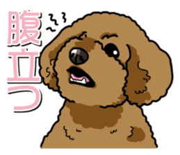 Wanko-Biyori Toy poodle sticker #12062555