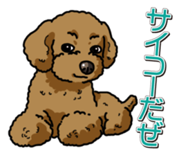 Wanko-Biyori Toy poodle sticker #12062556