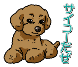 Wanko-Biyori Toy poodle sticker #12062556