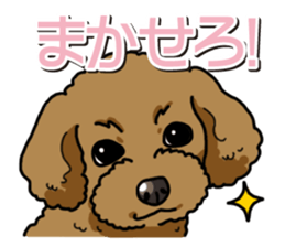 Wanko-Biyori Toy poodle sticker #12062557