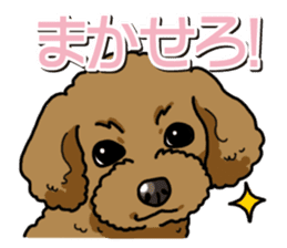 Wanko-Biyori Toy poodle sticker #12062557