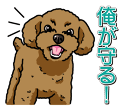 Wanko-Biyori Toy poodle sticker #12062559