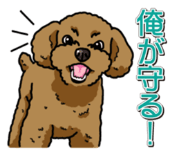 Wanko-Biyori Toy poodle sticker #12062559