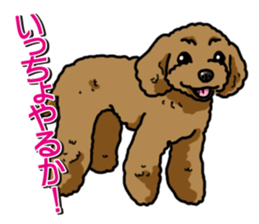 Wanko-Biyori Toy poodle sticker #12062560