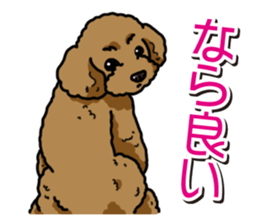 Wanko-Biyori Toy poodle sticker #12062561