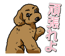 Wanko-Biyori Toy poodle sticker #12062563