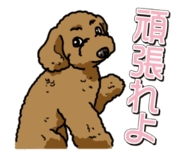 Wanko-Biyori Toy poodle sticker #12062563