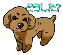 Wanko-Biyori Toy poodle sticker #12062564