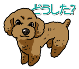 Wanko-Biyori Toy poodle sticker #12062564