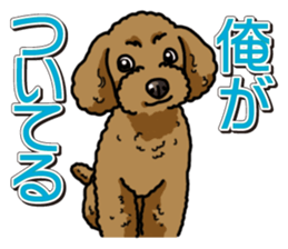 Wanko-Biyori Toy poodle sticker #12062566