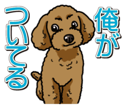 Wanko-Biyori Toy poodle sticker #12062566