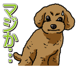 Wanko-Biyori Toy poodle sticker #12062568