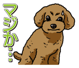 Wanko-Biyori Toy poodle sticker #12062568