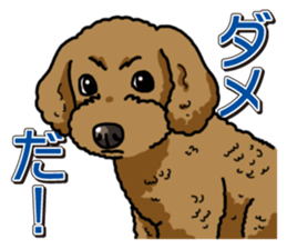 Wanko-Biyori Toy poodle sticker #12062569