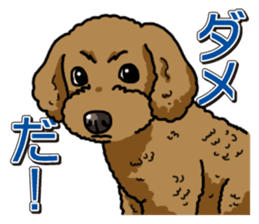 Wanko-Biyori Toy poodle sticker #12062569