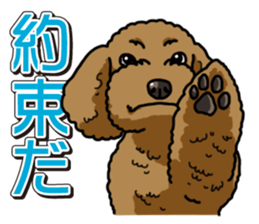 Wanko-Biyori Toy poodle sticker #12062571