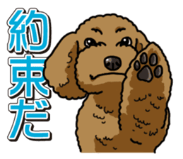 Wanko-Biyori Toy poodle sticker #12062571