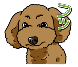 Wanko-Biyori Toy poodle sticker #12062575