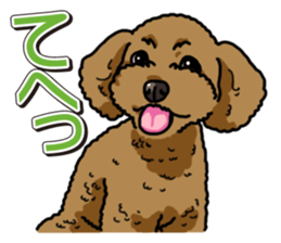 Wanko-Biyori Toy poodle sticker #12062577