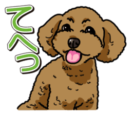 Wanko-Biyori Toy poodle sticker #12062577