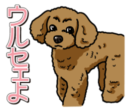Wanko-Biyori Toy poodle sticker #12062578
