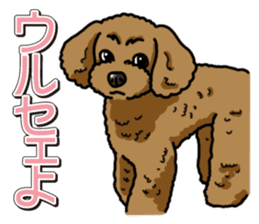Wanko-Biyori Toy poodle sticker #12062578