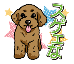 Wanko-Biyori Toy poodle sticker #12062581